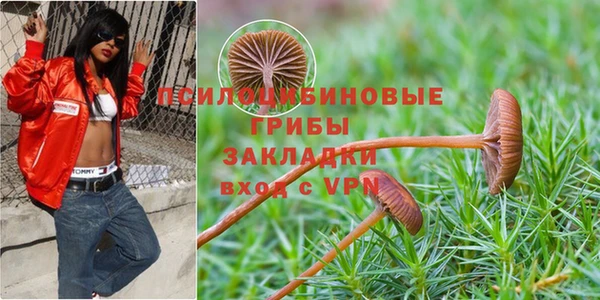 a pvp Армянск