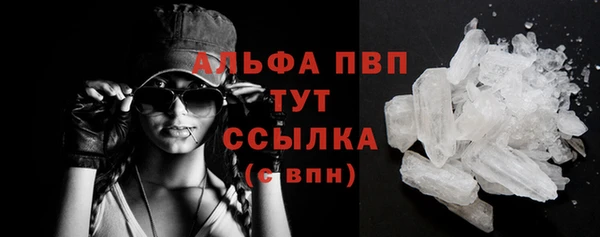 твердый Арсеньев