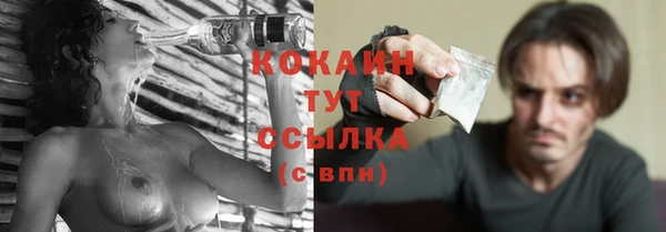 твердый Арсеньев