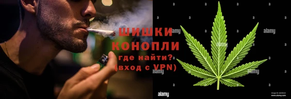прущие грибы Аркадак