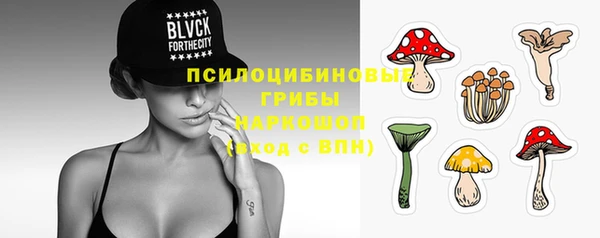 прущие грибы Аркадак