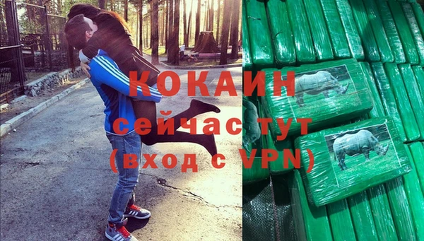 прущие грибы Аркадак