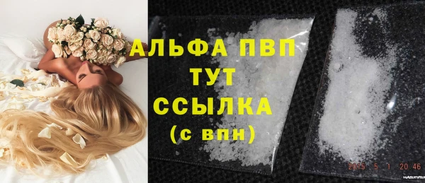 твердый Арсеньев