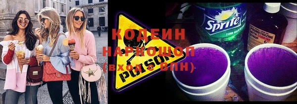 прущие грибы Аркадак