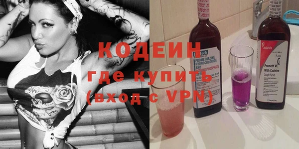 соль ск Ельня