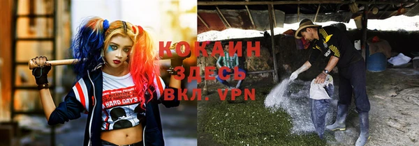 твердый Арсеньев
