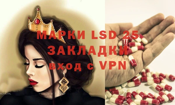 прущие грибы Аркадак