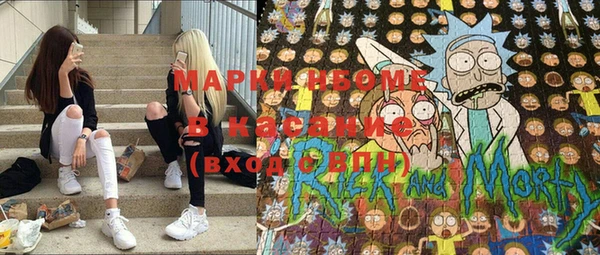 прущие грибы Аркадак
